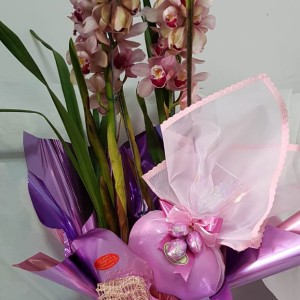 5d9b8a6bd3973_trabalhos-tulipas (24).jpeg